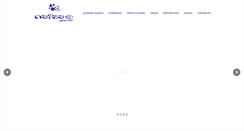 Desktop Screenshot of napsa.com.co